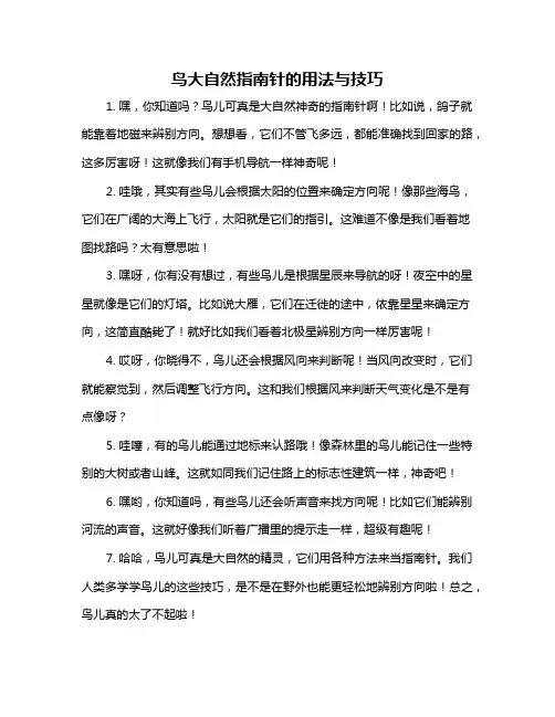 鸟大自然指南针的用法与技巧
