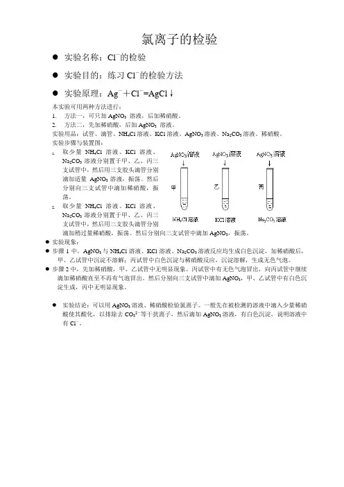 氯离子的检验实验报告