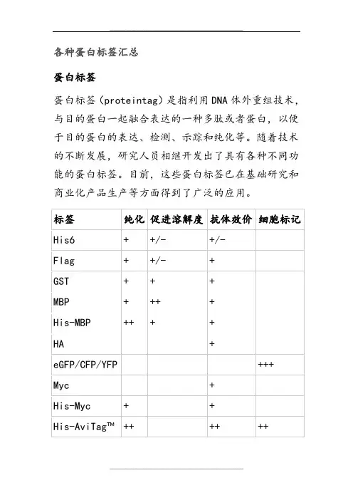 各种蛋白标签汇总