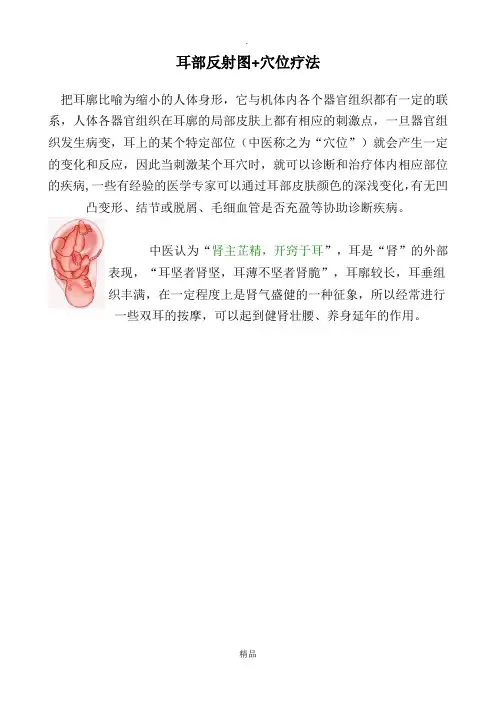 耳部穴位反射图