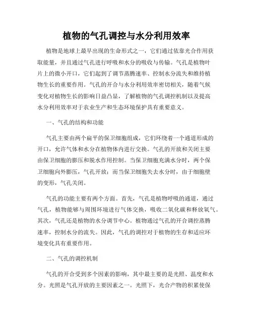 植物的气孔调控与水分利用效率