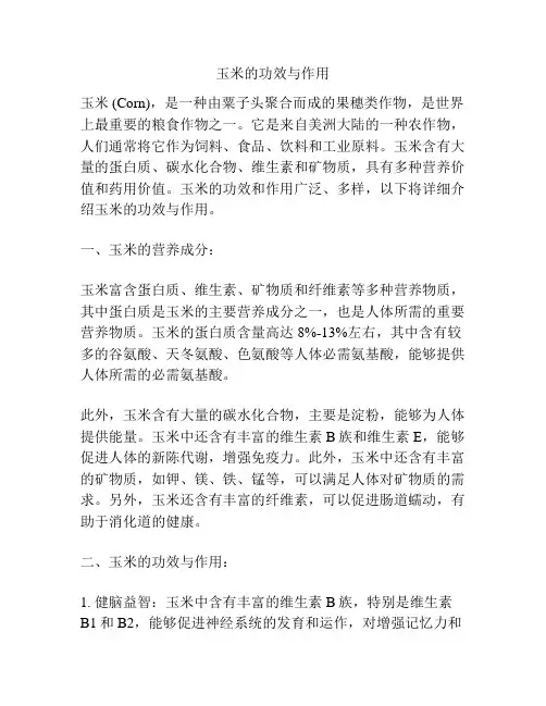 玉米的功效与作用