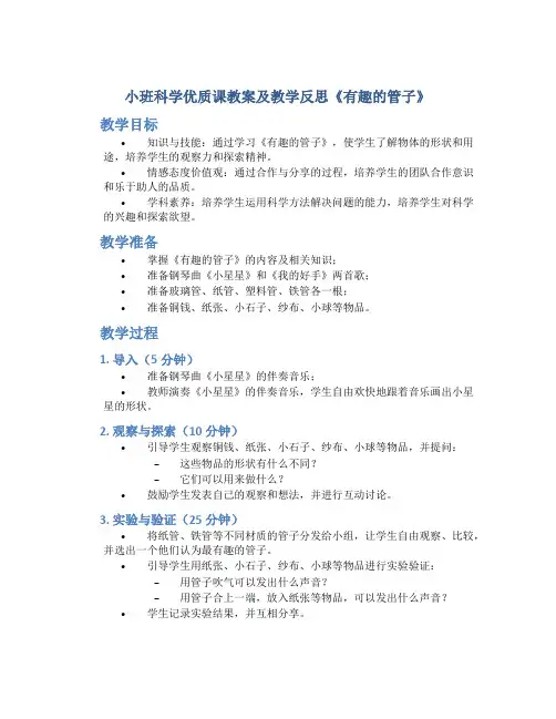 小班科学优质课教案及教学反思《有趣的管子》