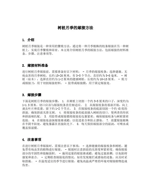 树桩月季的嫁接方法