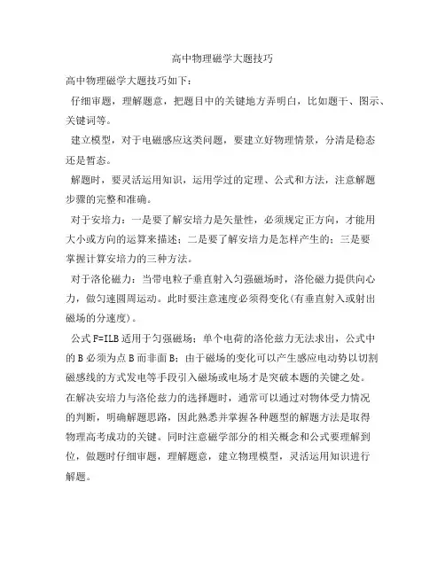 高中物理磁学大题技巧