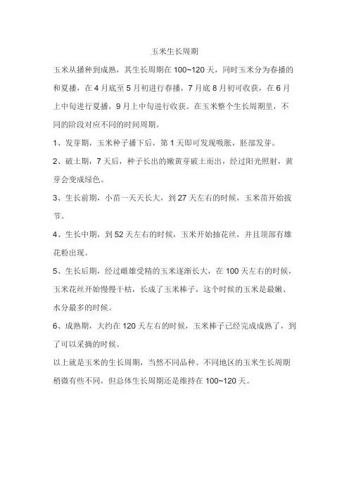 玉米生长周期