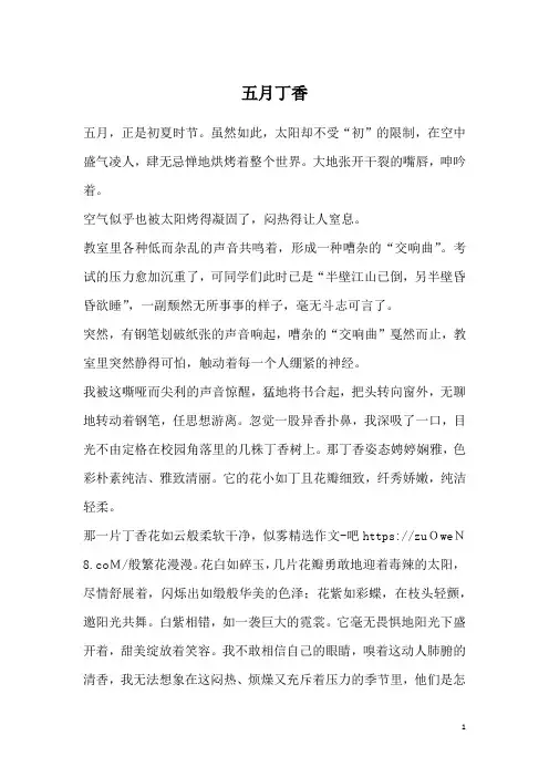 五月丁香