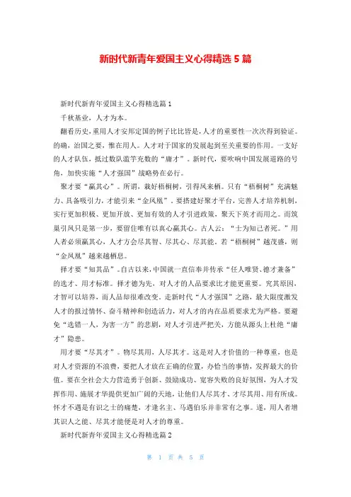 新时代新青年爱国主义心得精选5篇
