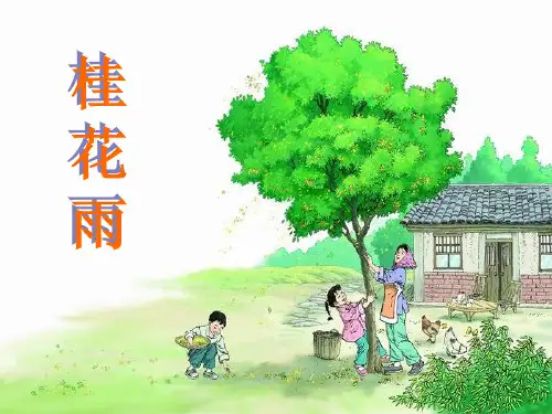 鲁教版四年级语文上册《桂花雨》课件