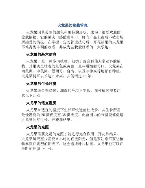 火龙果的盆栽管理