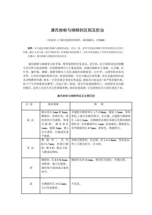 康氏粉蚧与绵蚜的区别及防治