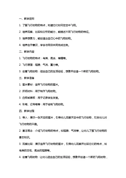 大班科学《在天空中飞翔》教案
