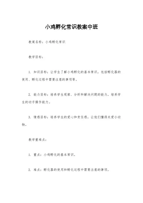 小鸡孵化常识教案中班