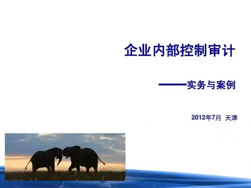 2012年企业内部控制审计之实物与案例