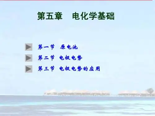 第五章 电化学基础