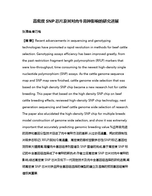 高密度SNP芯片及其对肉牛育种影响的研究进展