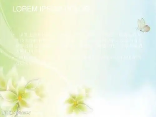 架起友谊的桥梁优质课课件
