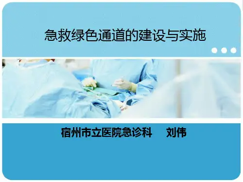 绿色通道ppt课件