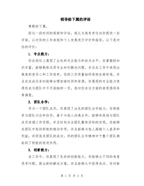 领导给下属的评语