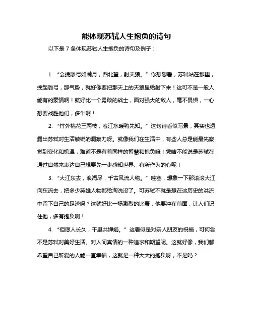 能体现苏轼人生抱负的诗句