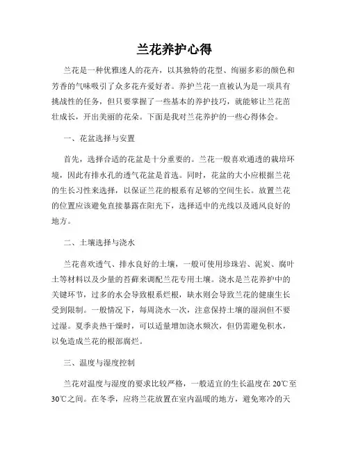 兰花养护心得