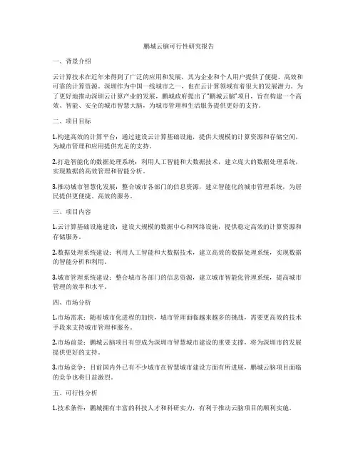 鹏城云脑可行性研究报告