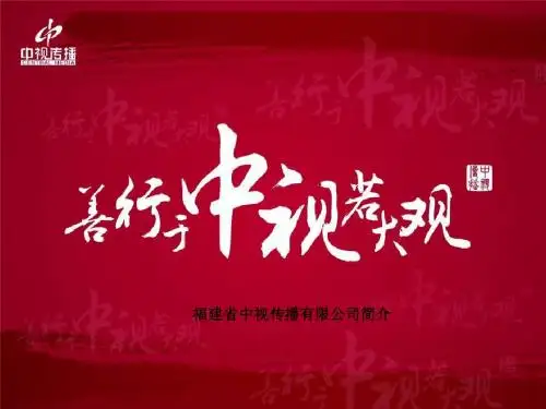 中视简介