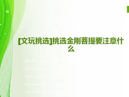 [文玩挑选]挑选金刚菩提要注意什么？