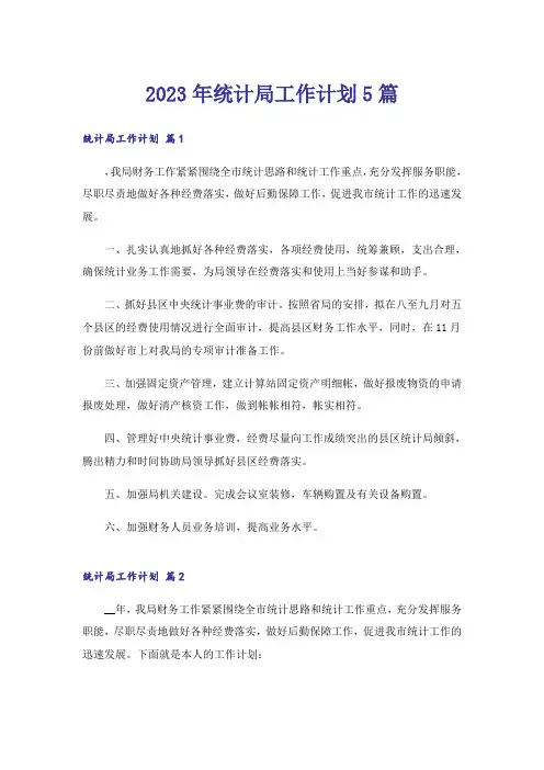 2023年统计局工作计划5篇