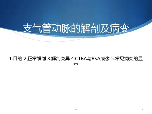 支气管动脉的解剖及病变PPT课件