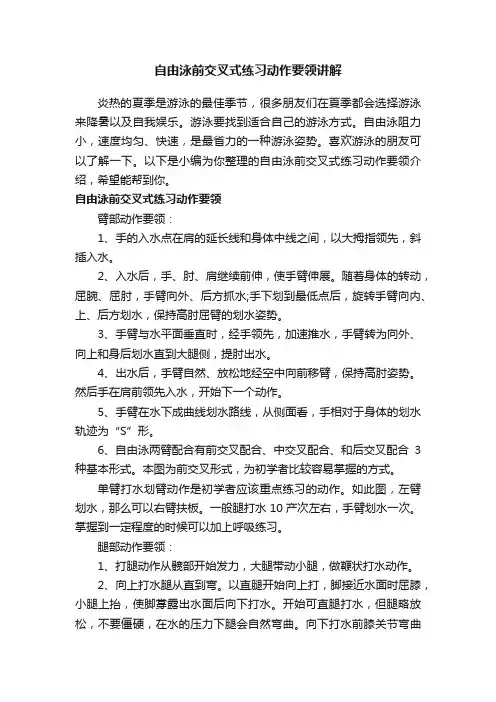 自由泳前交叉式练习动作要领讲解