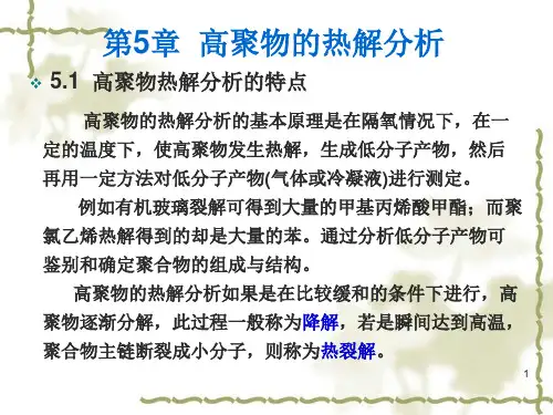 5-高聚物的热解分析