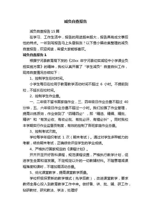 减负自查报告15篇