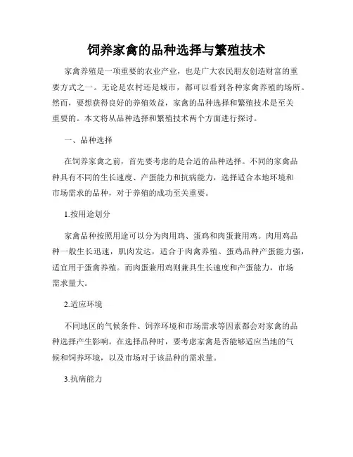 饲养家禽的品种选择与繁殖技术