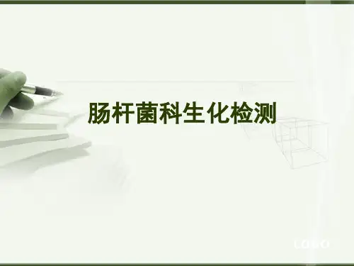 肠杆菌科生化检测