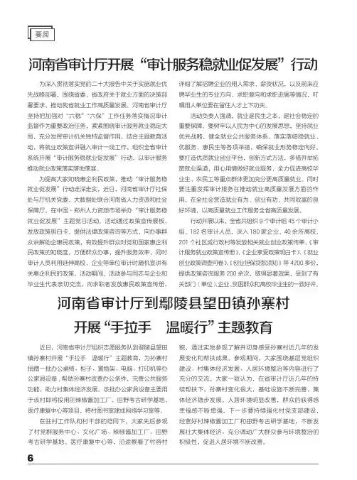 河南省审计厅开展“审计服务稳就业促发展”行动