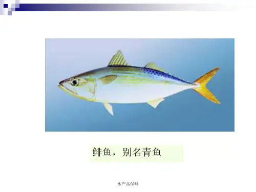 水产品保鲜课件