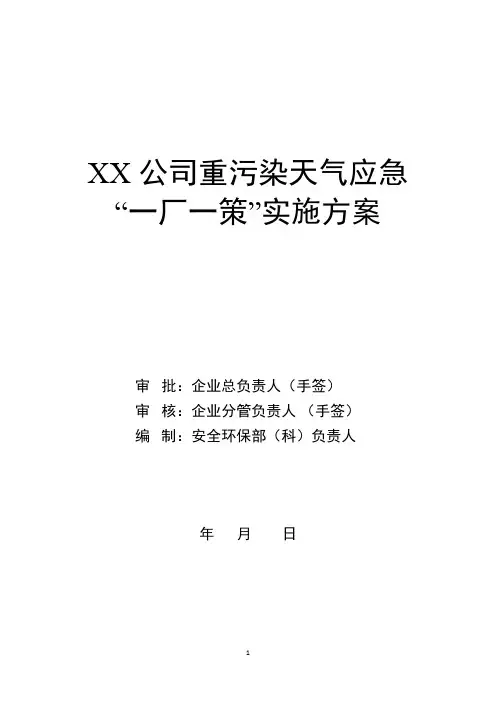 山东省一厂一策模板