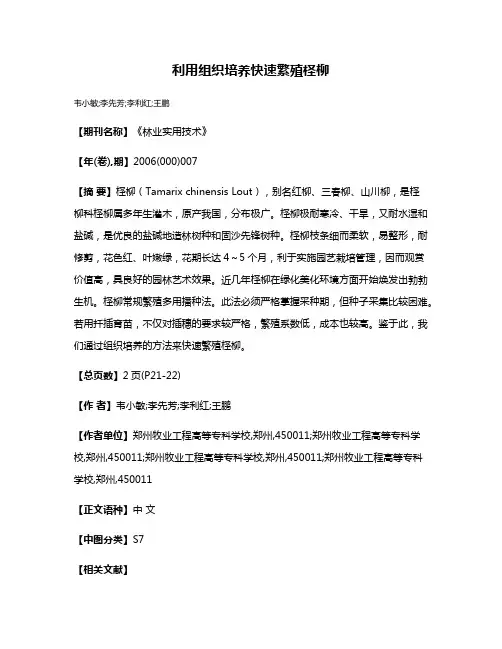 利用组织培养快速繁殖柽柳