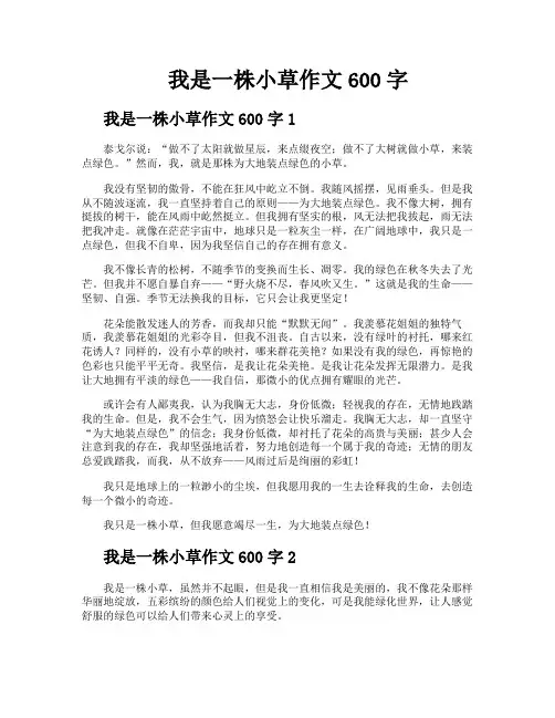 我是一株小草作文600字