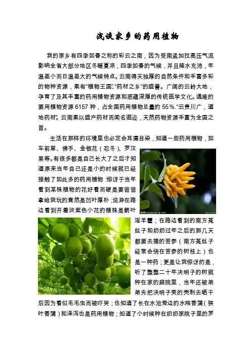 浅谈家乡的药用植物