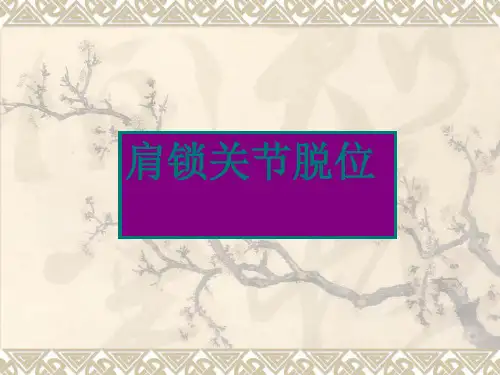 肩锁关节脱位
