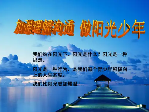 《做阳光少年主题班会》ppt   主题班会课件
