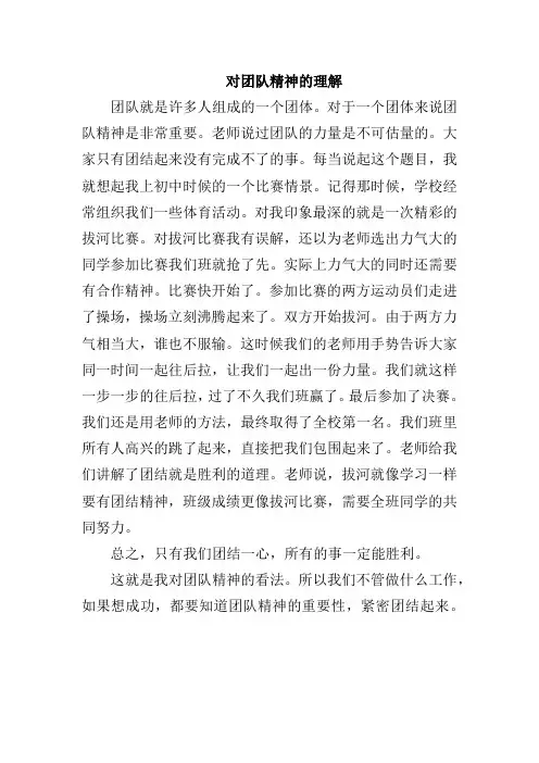 团队精神的理解