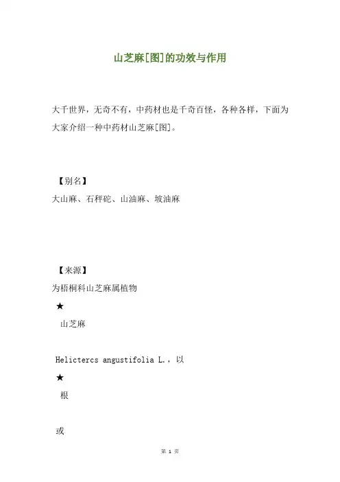 山芝麻[图]的功效与作用