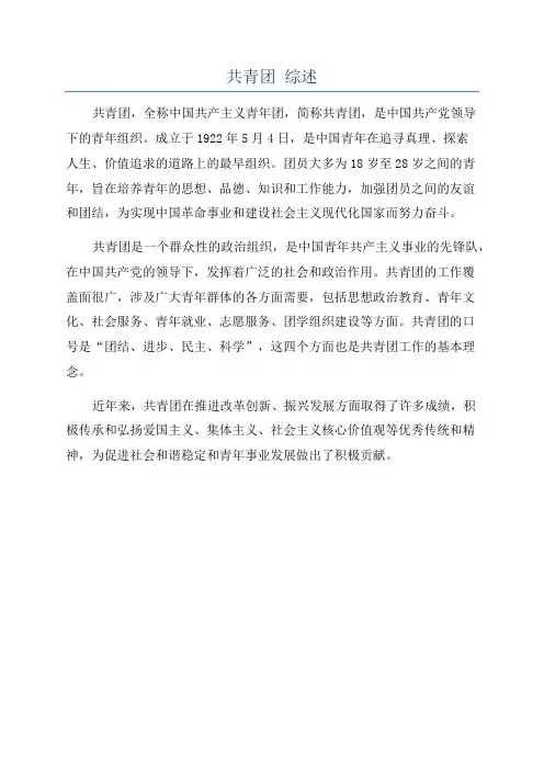 共青团 综述
