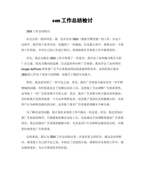 sem工作总结检讨