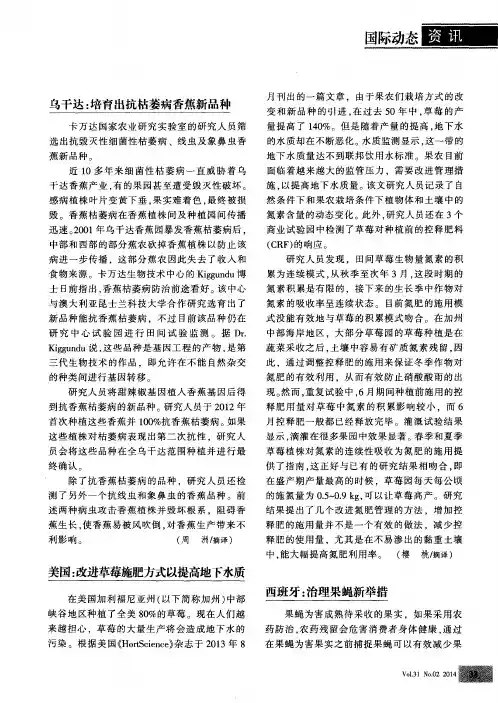 乌干达：培育出抗枯萎病香蕉新品种