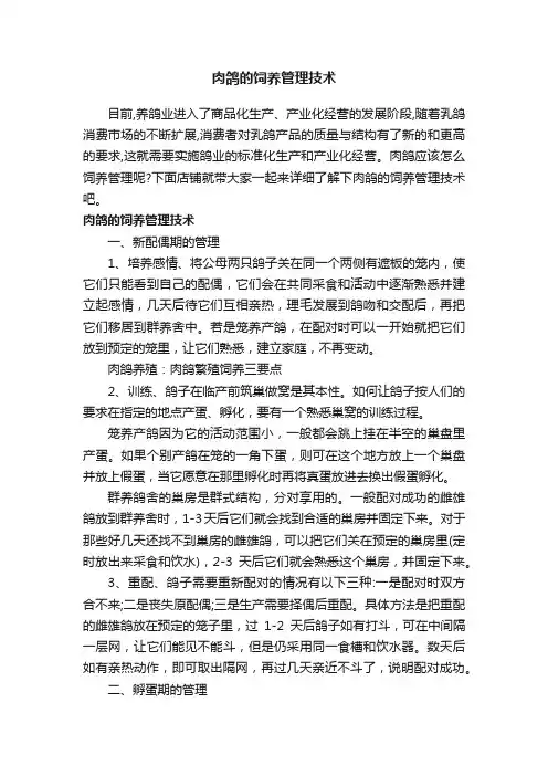 肉鸽的饲养管理技术