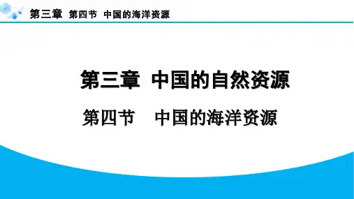 3.4 中国的海洋资源【习题课件】八年级地理上册湘教版